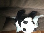 Pandas overs only