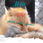 Mia und Lilly spiele und games