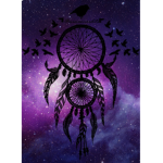 Galaxy Dream Catchers