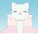 A group for people who like cats
