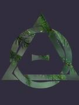The Night Warrior Clan
