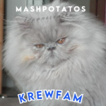 KrewFam c: