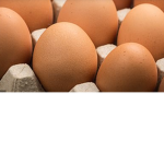 Egg of Cult