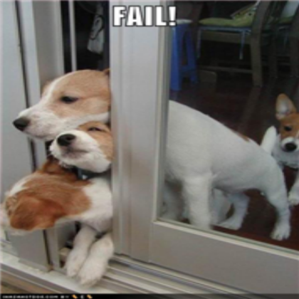 dog fail Roblox decal