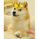 DogesAreKing