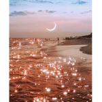 ・ s e a b r e e z e ・