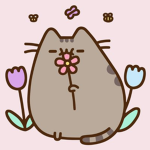 #pusheen group!!!