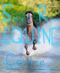 Spring rivers Equestrian Academy