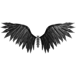  Onyx Requiem Wings