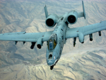 Military Aircraft Enthusiasts