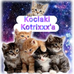 Kociaki Kotrixxx'a