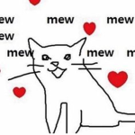 cats fanclub :3
