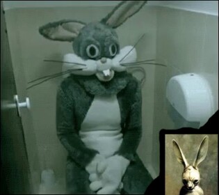 The Rabbit Store