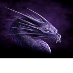 The Dragon Squad!