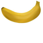 This Image Is Not A Dog