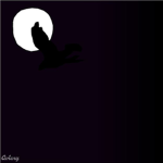 Creatures Of The NightHawk