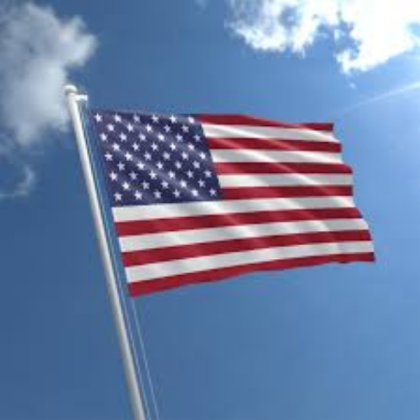 USA Flag Roblox decal