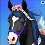 Horse people and others