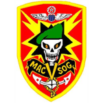 SAS(Zombie Assault Squad)