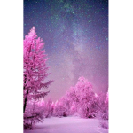 Norami group