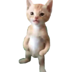 Dudul