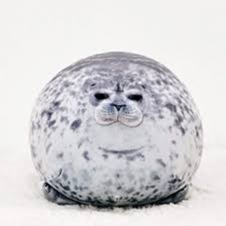 Chonkee Seal Island!