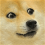 Doge Unleashed