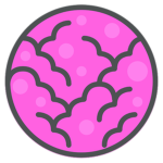 Nebula Studios_