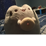 Team Unicorn Pusheen
