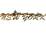 The New York Explorers
