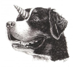 unidogs