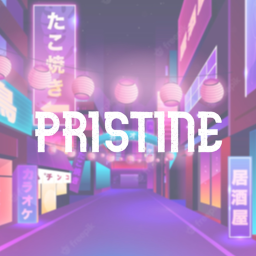 pristine home store