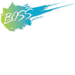 BOR Bosses Of ROBLOX