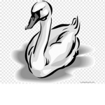 Pato Litros