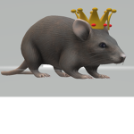 Rubux for som