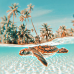 L u s h z