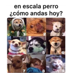 Kfghkffkdndi