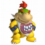 bowserjr0805