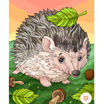 Hedgehogs rule the world
