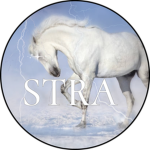 +* Stormy Hooves *+