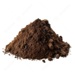 The Holy Dirt