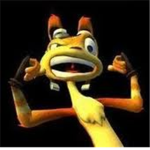 daxter club