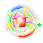 Rainbow Nurse Bee