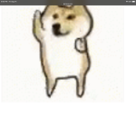 ~doge gods~
