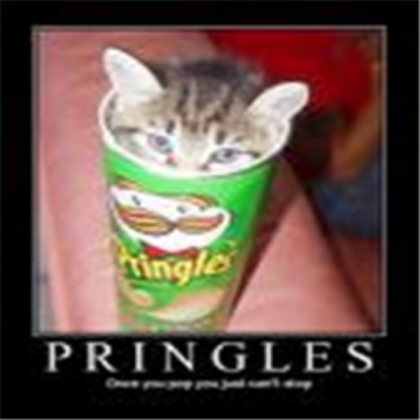 Pringles cat Roblox decal