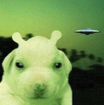 tinkywinky’