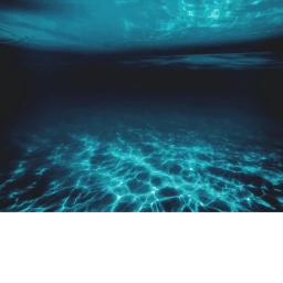 The ocean icon