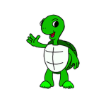 Turtles Have Toes