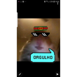 Amimo