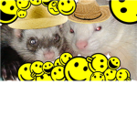 The Ferret Lovers